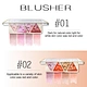 blush and highlighter palette